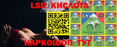 бошки Новодвинск