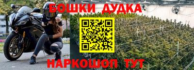 бошки Новодвинск