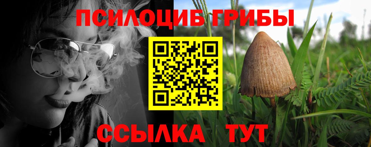 Галлюциногенные грибы Psilocybe Тосно
